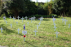 Matakana Field of white crosses